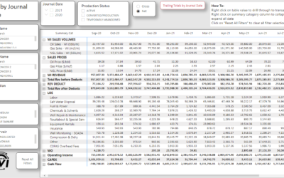 Lease Operating Statement