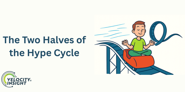 Two Halves of Hype Cycle 300×600 Illustration of a man riding a roller coaster, representing the first half of the hype cycle